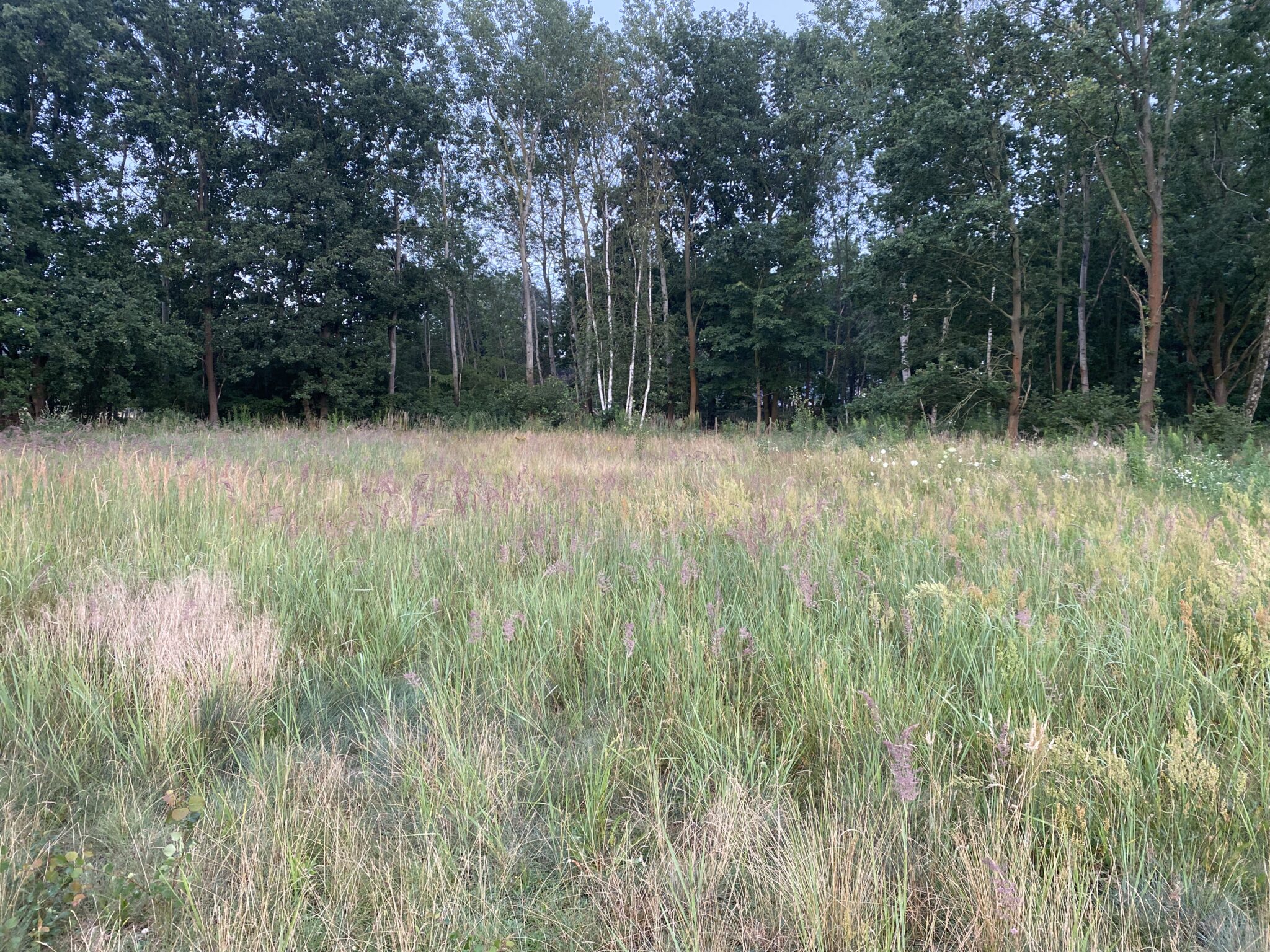 Baugrundstück Bötzow