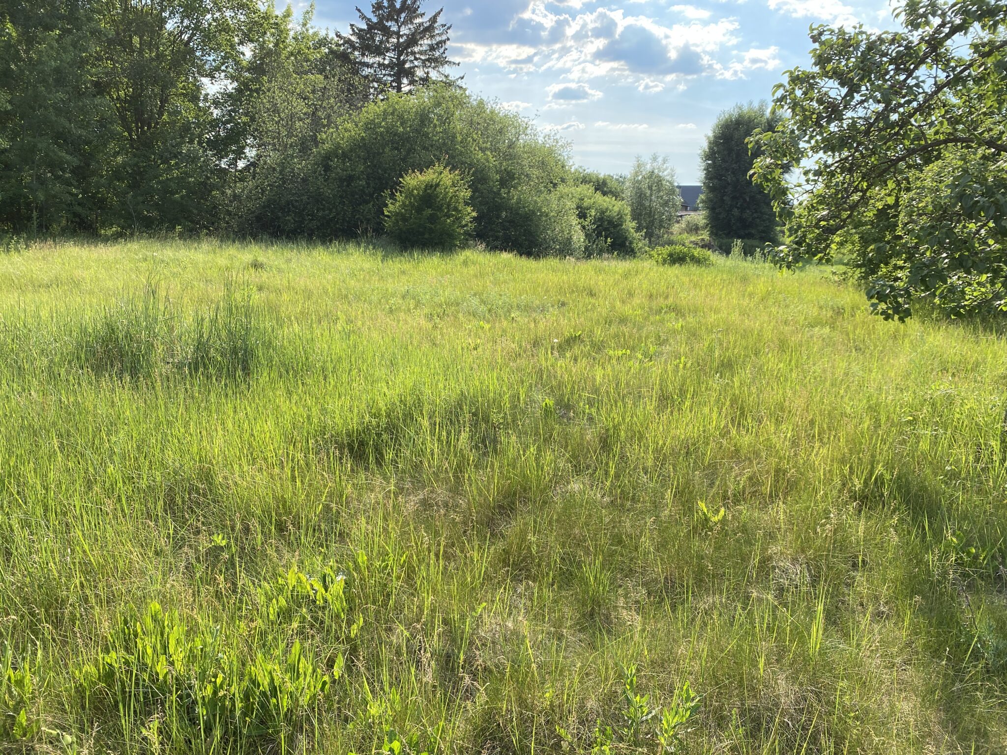 Bauland entwickeln Bötzow