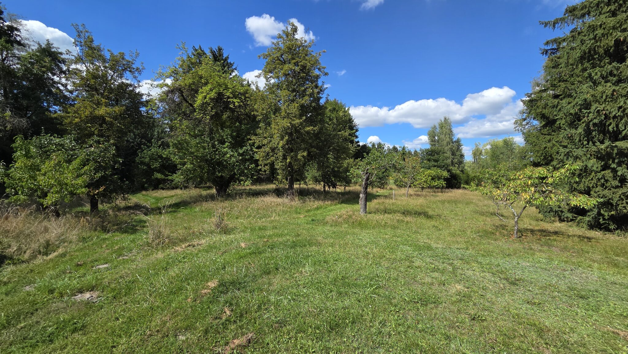 Baugrundstück Bötzoe